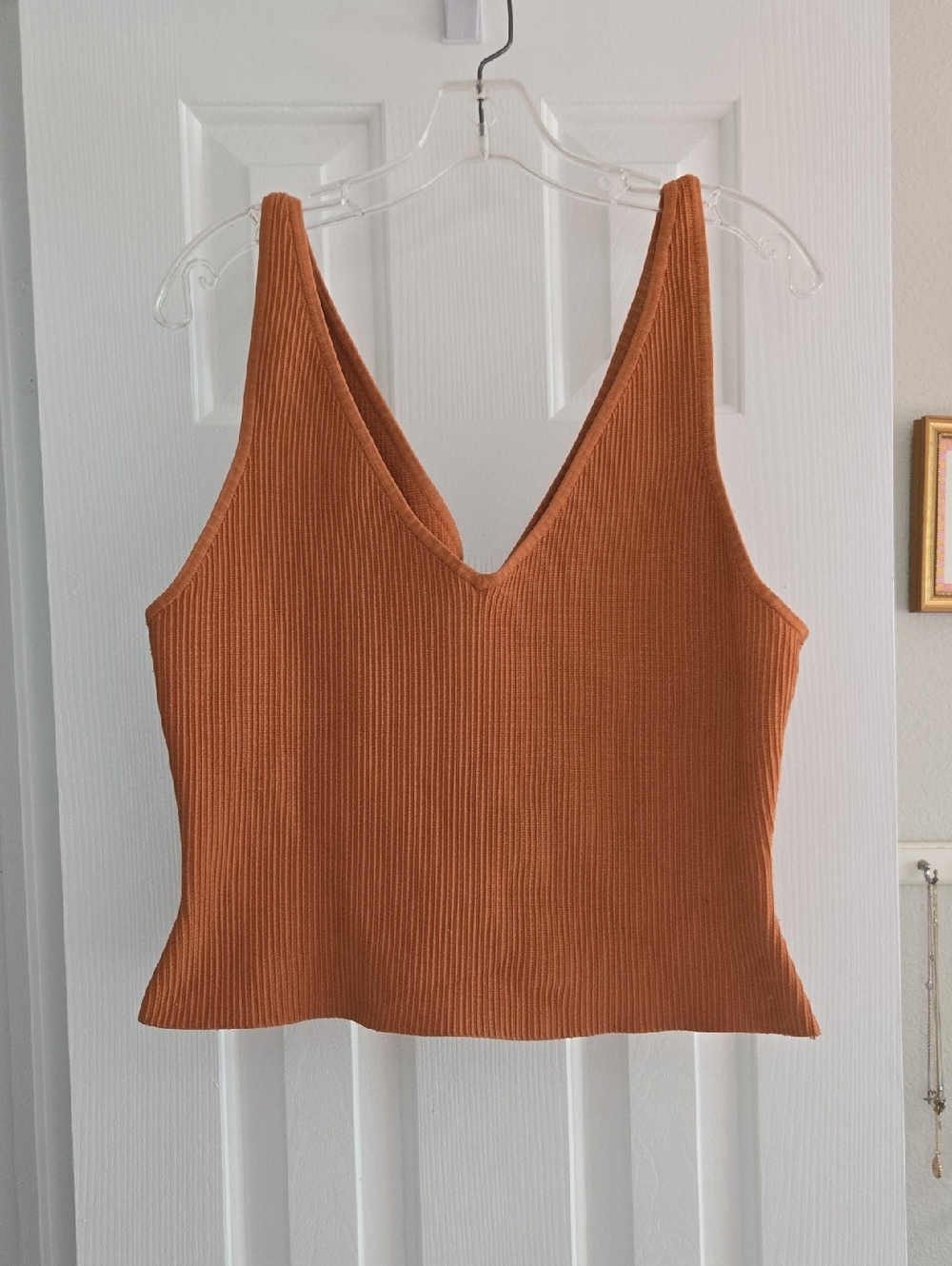 Babaton (Aritzia) Sculpt Knit Ribbed V-Neck Crop Tank in Rust-XL